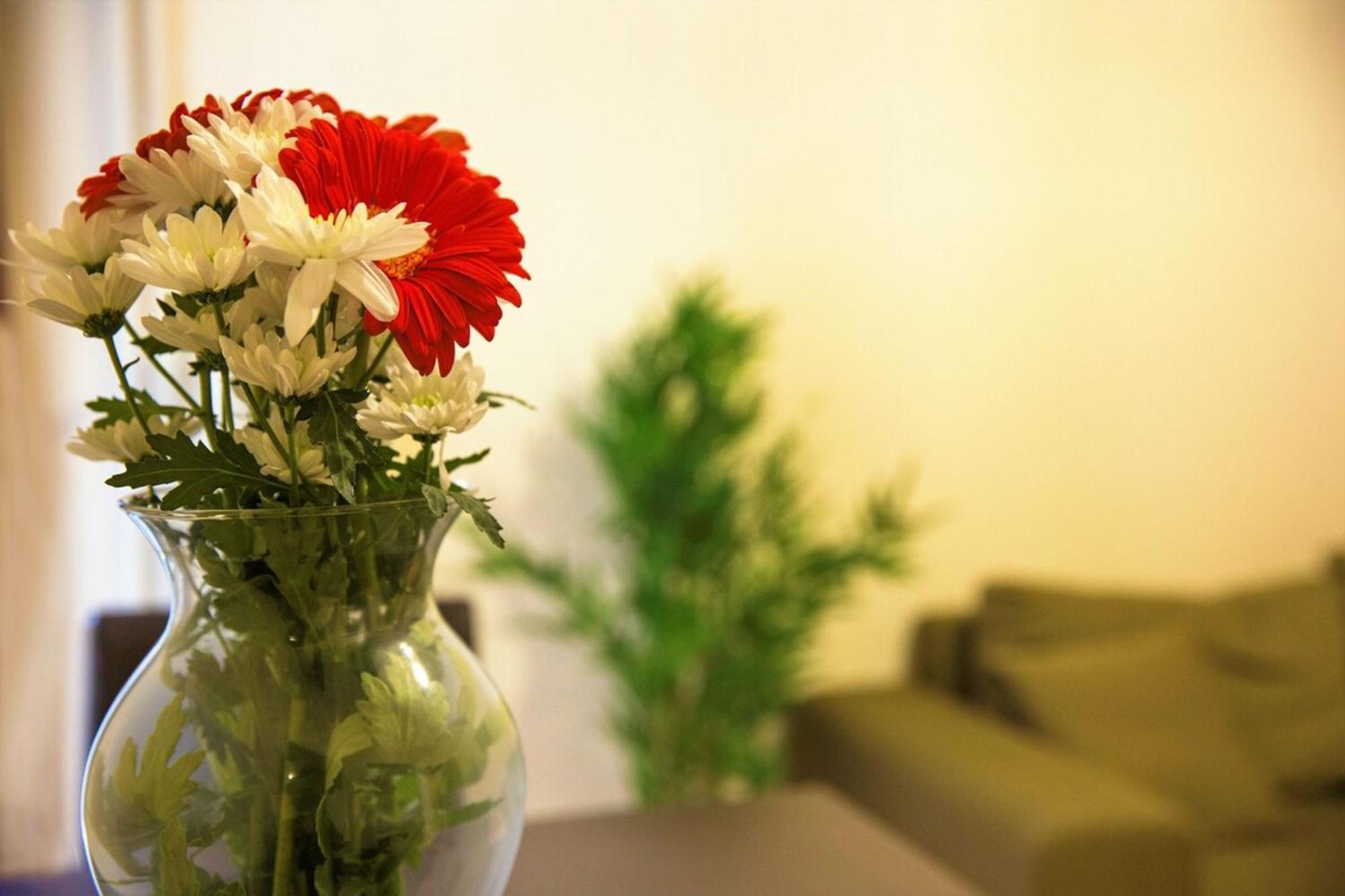 Peaceful Renovated Apartment Near Lycabettus Hill Athens Ngoại thất bức ảnh